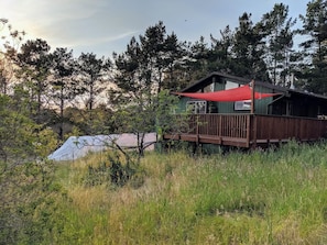 Outdoor garden and deck