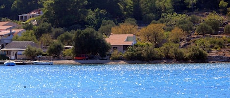 Divers