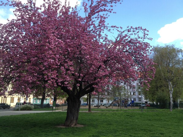 Jardines del alojamiento