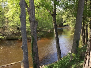 Spring view from deck