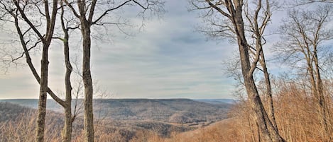 Cumberland Mountain Views | Self Check-In