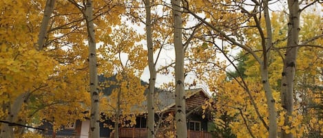 Fall Colors! Peaceful setting surrounded by trees and Mountain Views!
