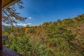 Gorgeous mountain views from the Rear Deck