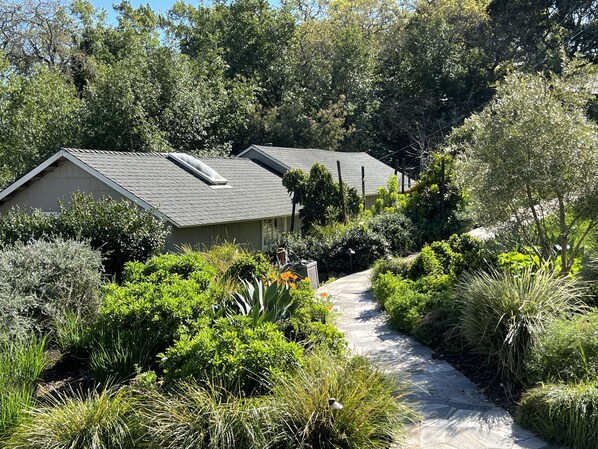The Stetson Cottage! Large, lovely cottage surrounded by gardens and nature.