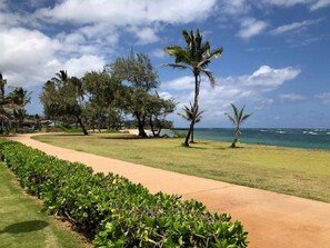 Oceanfront to Multi Use Bike Path and White Sand Swimming Beach