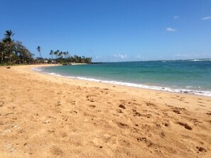 Kapaa Bay fronts  property for sunbathing, long swims, or snorkeling