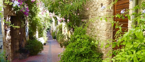 Known as the prettiest 'Rue'  in Antibes with our front door on the right