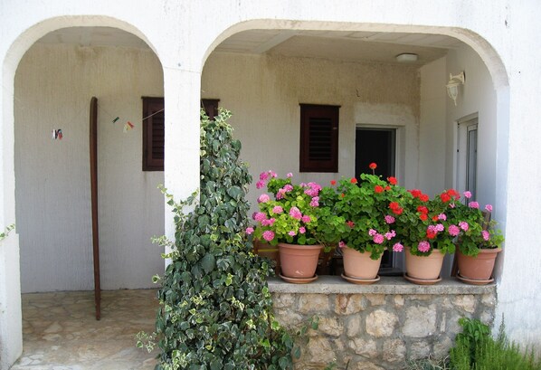 Exterior detail