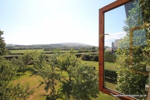 View from the window