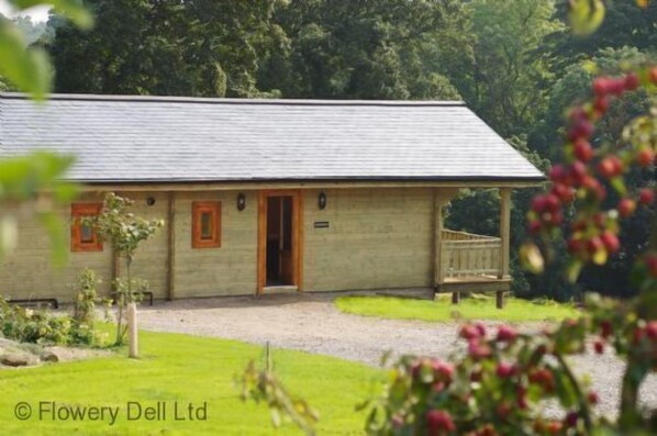 Honeysuckle Deluxe (Single Storey) Lodge (Pet Friendly)