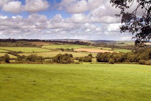 View from the garden