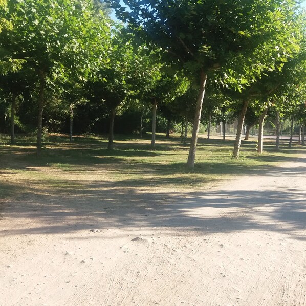 Property grounds