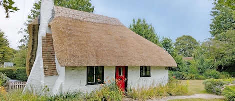 Exteriör