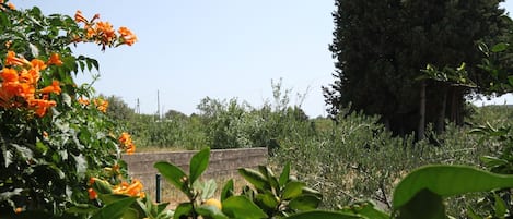 Parco della struttura