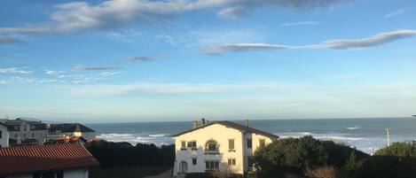 Beach/ocean view