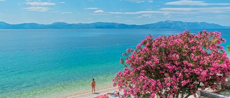 Spiaggia