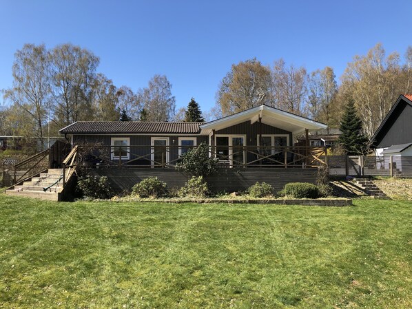 Back yard 