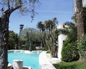 Oliviers centenaires et palmiers autour de la piscine
