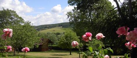 View from Cedar's veranda