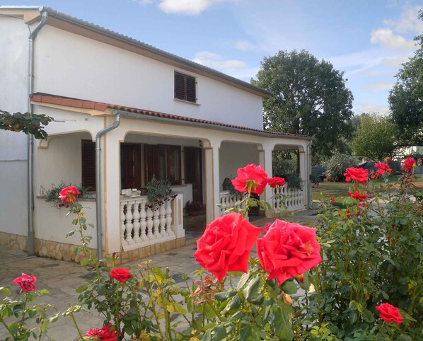 external view