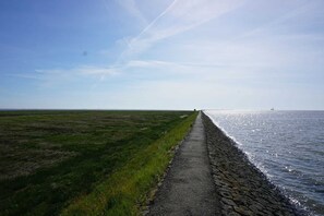 Miscellaneous