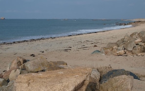 area