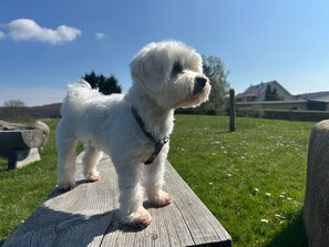 Boendeområde