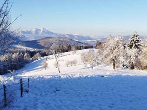 Sports d’hiver