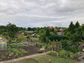 Ausblick von der Terrasse