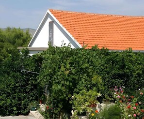 external view