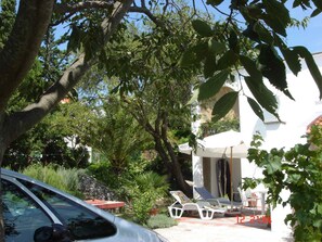external view