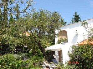 external view