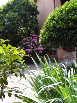 garden