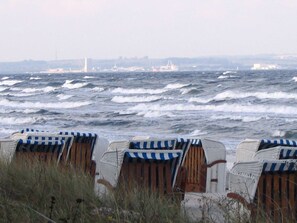 Ranta