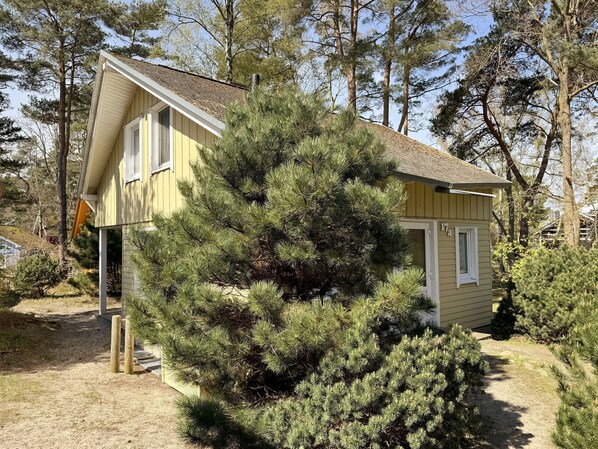 Exteriör