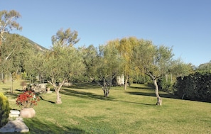 outside