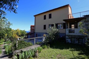 external view