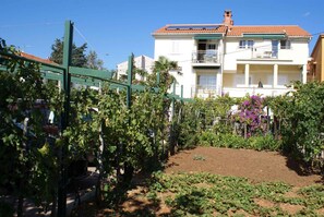 jardin