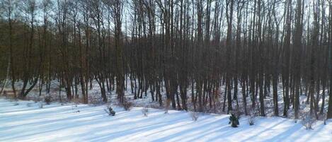 Blick vom Balkon im Winter