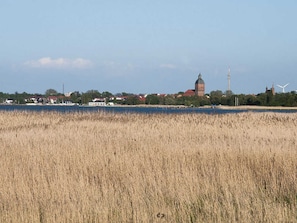 Saaler Bodden