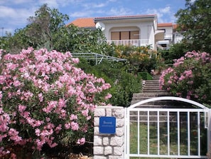 external view
