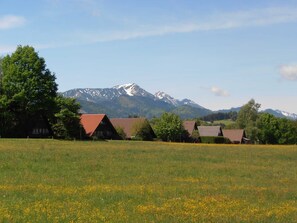 Udendørsområde