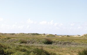 view-from-room