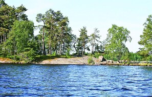 area
