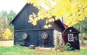 Exteriör