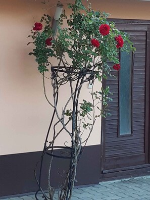 Detalj exteriör
