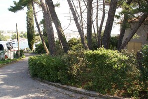 external view