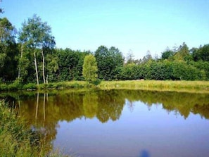 Gasthaus-Pension Zum Brandweiher