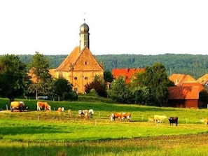 Gasthaus-Pension Zum Brandweiher