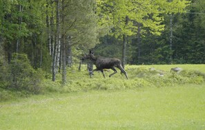 Övrigt